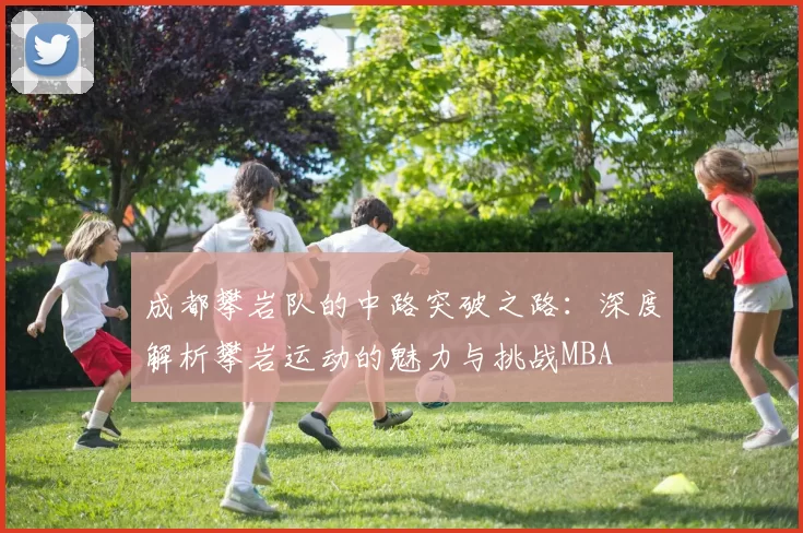 成都攀岩队的中路突破之路：深度解析攀岩运动的魅力与挑战MBA