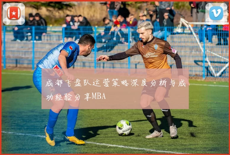 成都飞盘队运营策略深度分析与成功经验分享MBA