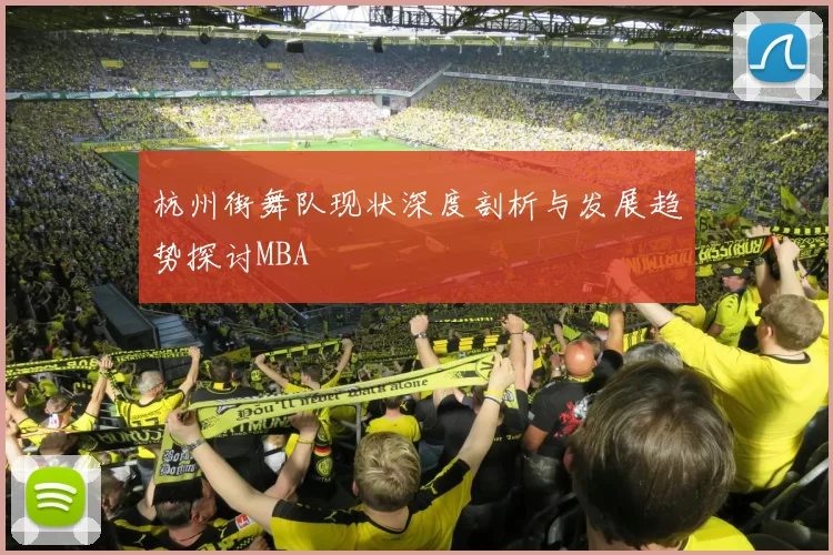 杭州街舞队现状深度剖析与发展趋势探讨MBA