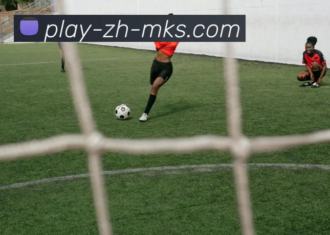 mk体育平台生态图