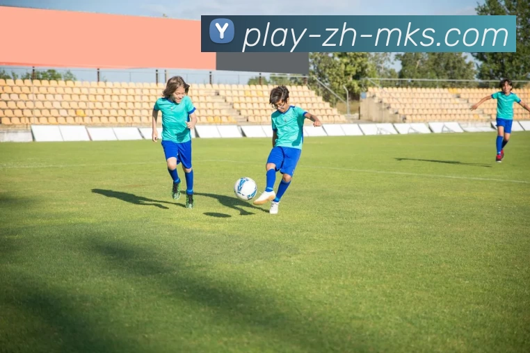 mk体育APP 封面图